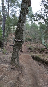 Enduro Bagnols-en-forêt Shape N Ride